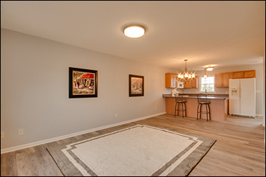 142 Olivia Dawn Lane